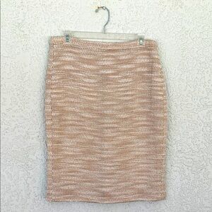 J.Crew Elegant Skirt with touch of sparkle back zipper size 8